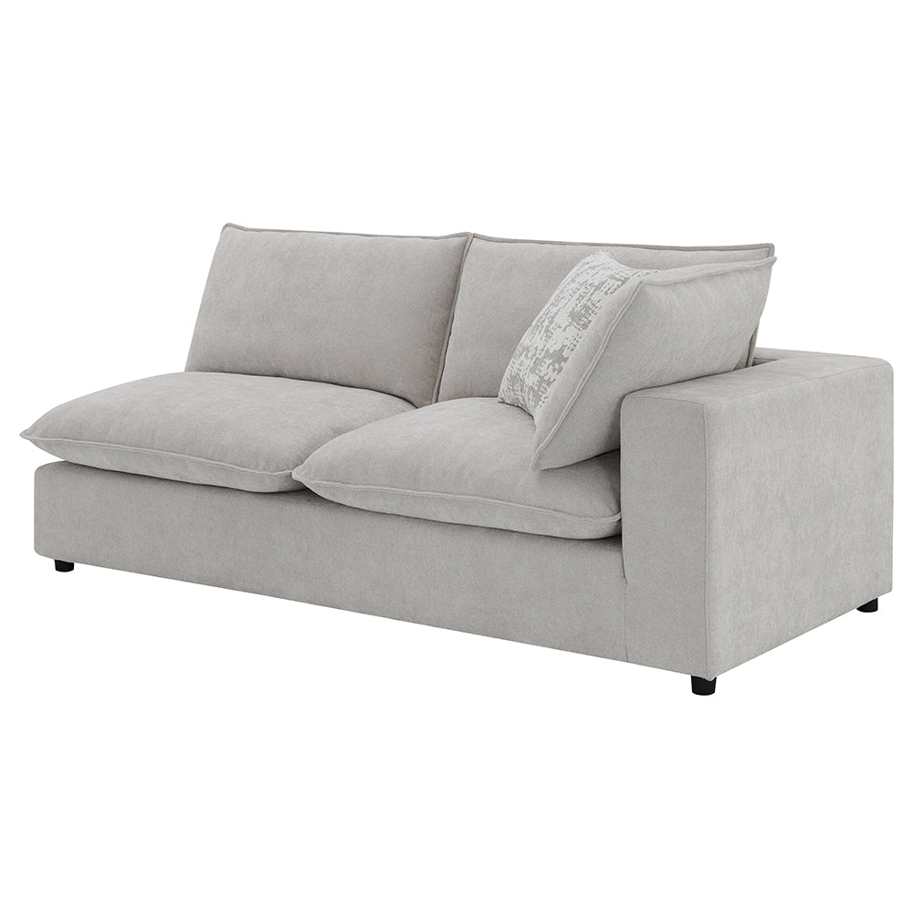 Marisa Modular RF Loveseat with 2 Pillows