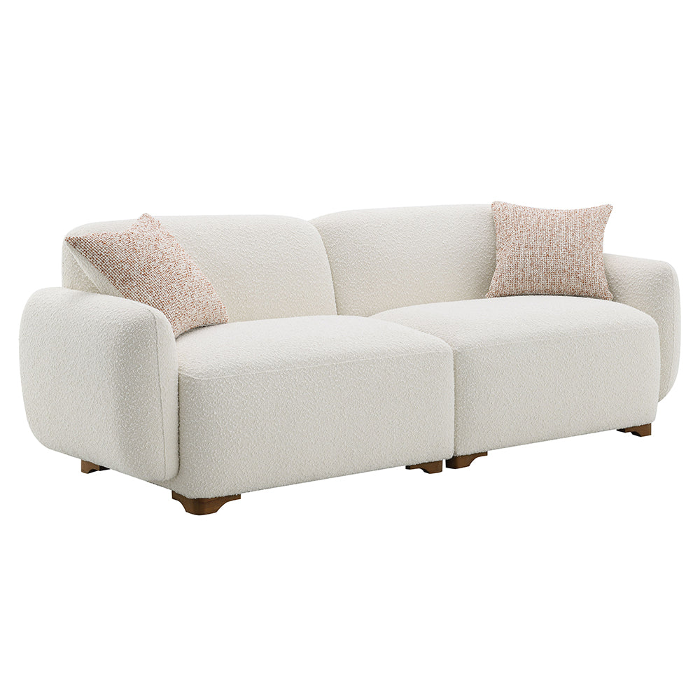 Darius Sofa with 2 Pillows