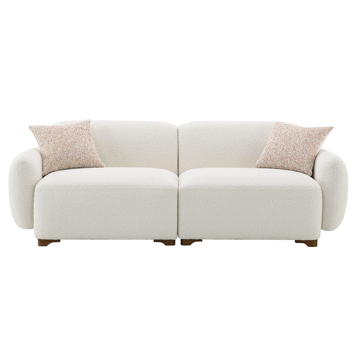 Darius Sofa with 2 Pillows