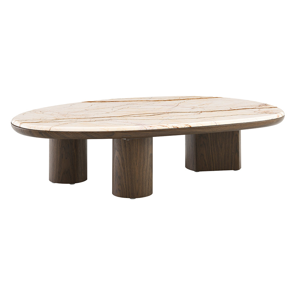 Haidar Coffee Table with Natural Marble