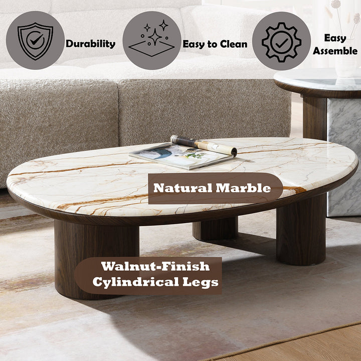 Haidar Coffee Table with Natural Marble