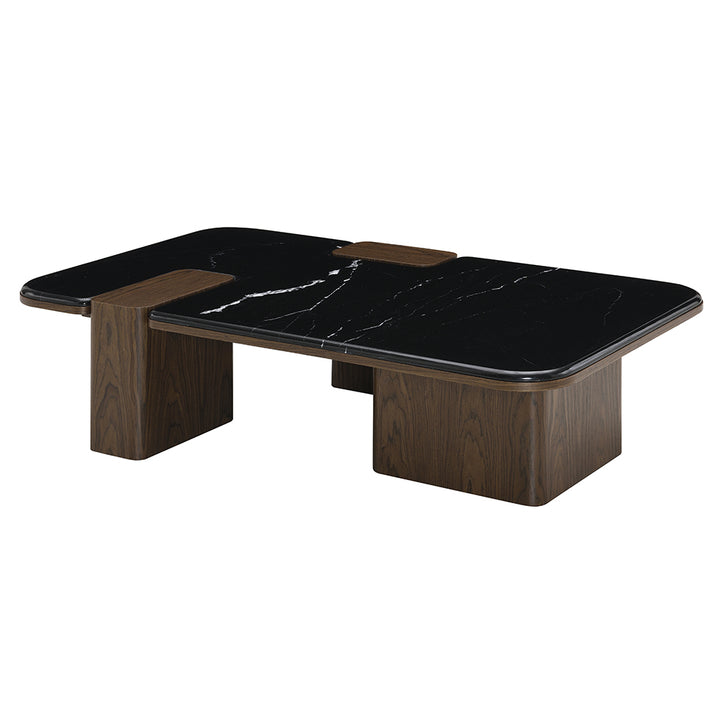 Dana Coffee Table with Natural Marble 