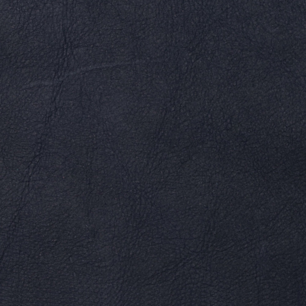 Mojave Navy