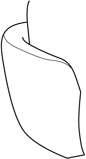 Luonto Nexus Curved Arm