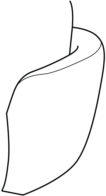Luonto Nexus Curved Arm