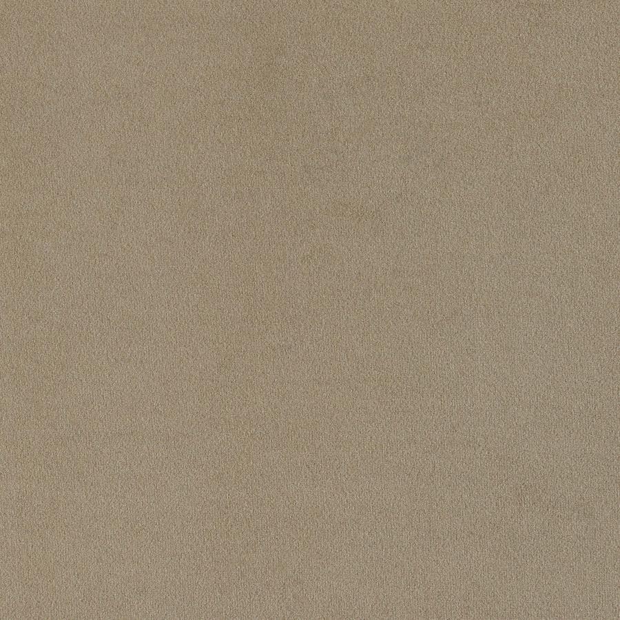 Rainn - Boucle Upholstered Sloped Arm Sofa - Latte Stationary Sofa modern furniture Contempo Furniture