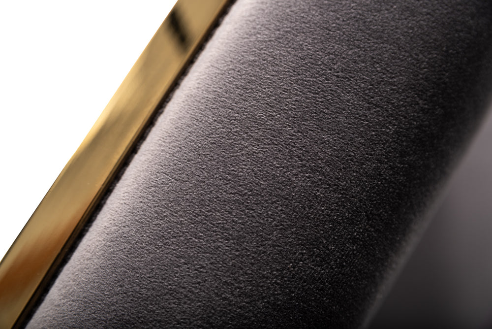 Reba Modern Grey Velvet & Gold Dining Chair (Set of 2) - View 6