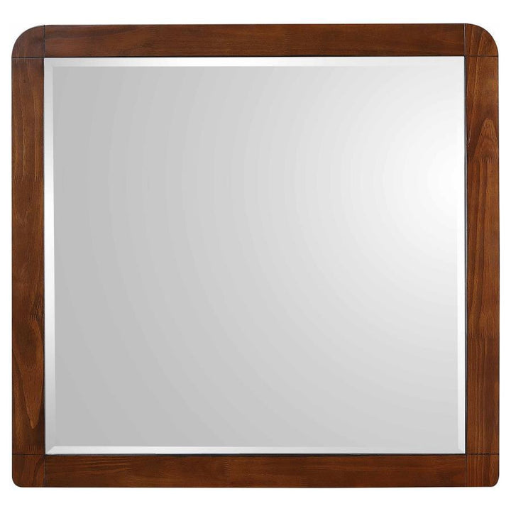 Robyn - Dresser Mirror - Dark Walnut Mirror modern furniture Contempo Furniture