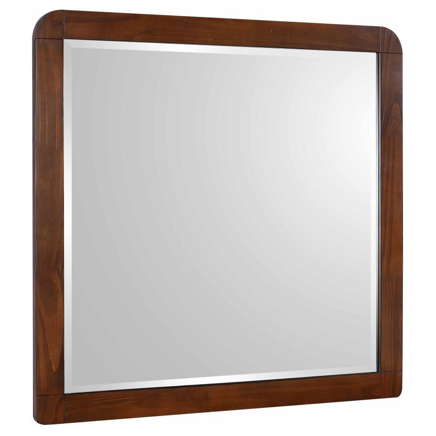 Robyn - Dresser Mirror - Dark Walnut Mirror modern furniture Contempo Furniture
