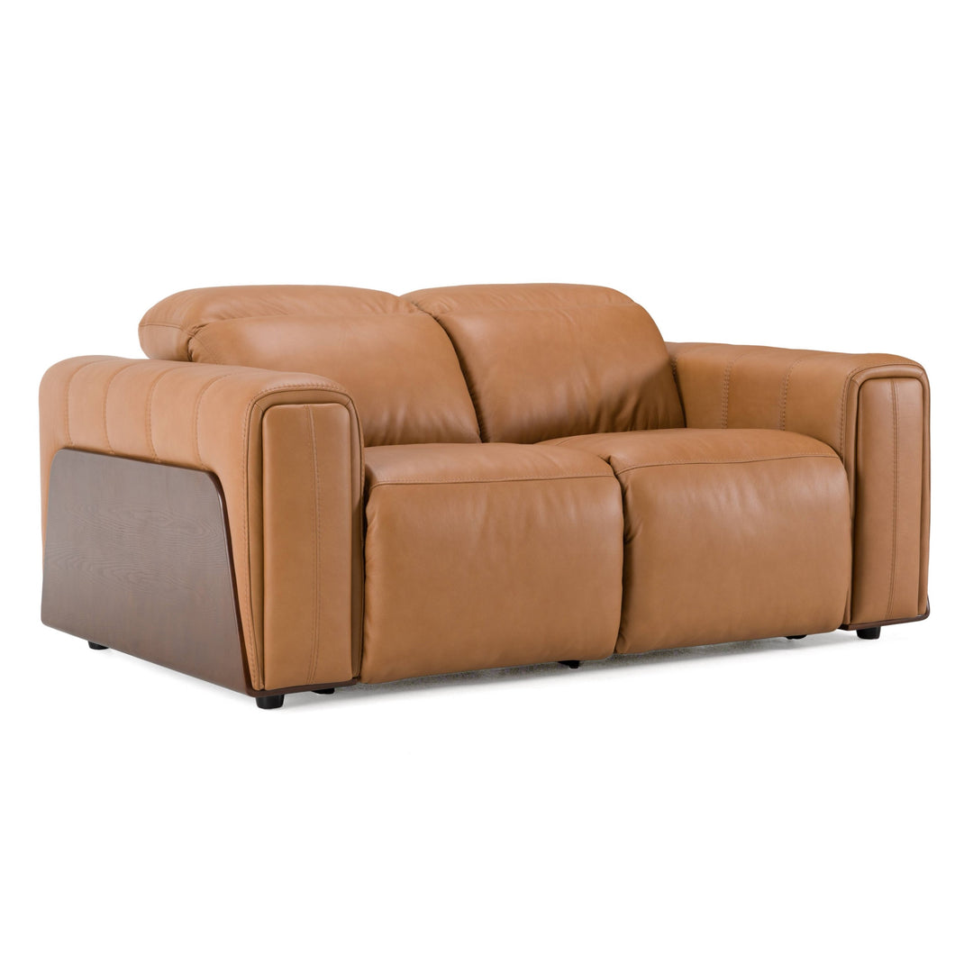 Sandstone - Modern Brown Leather Loveseat w/ 2 Electric Recliners