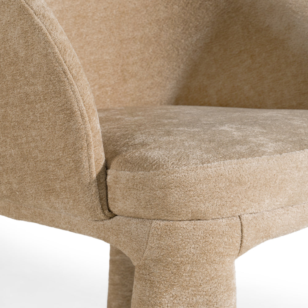 Sarkis - Modern Beige Velvet Dining Chair - View 4