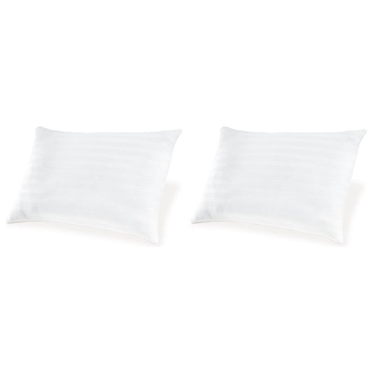 Ashley Sleep® Zephyr 2.0 Cotton Pillow (Set of 2).