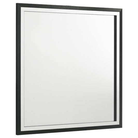 Coaster '224994 Lucia Dresser Mirror Black