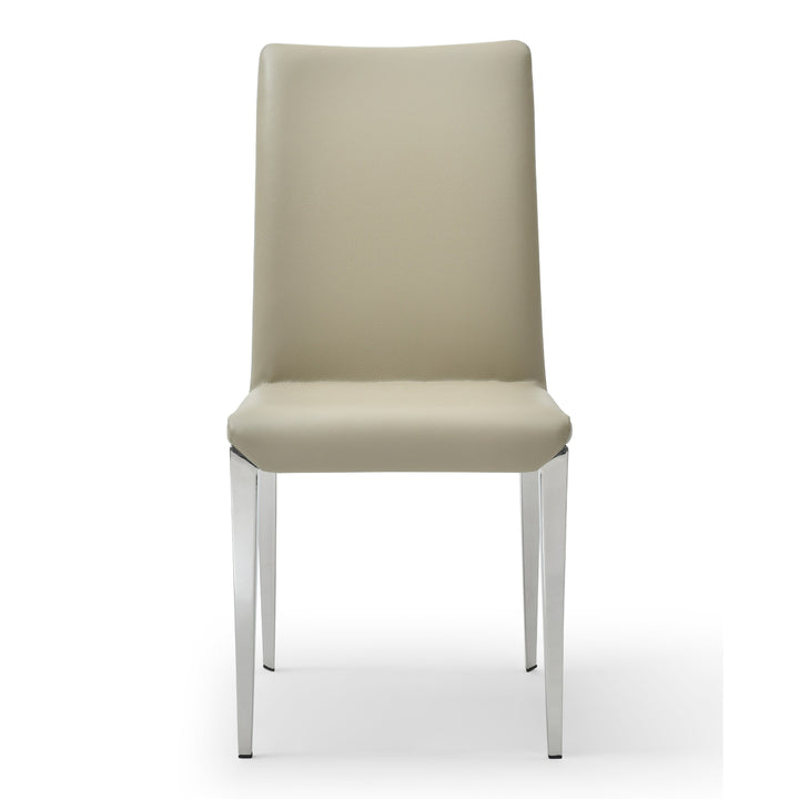 Taryn - Modern Light Grey + Stainless Steel Dining Chair (Set of 2)