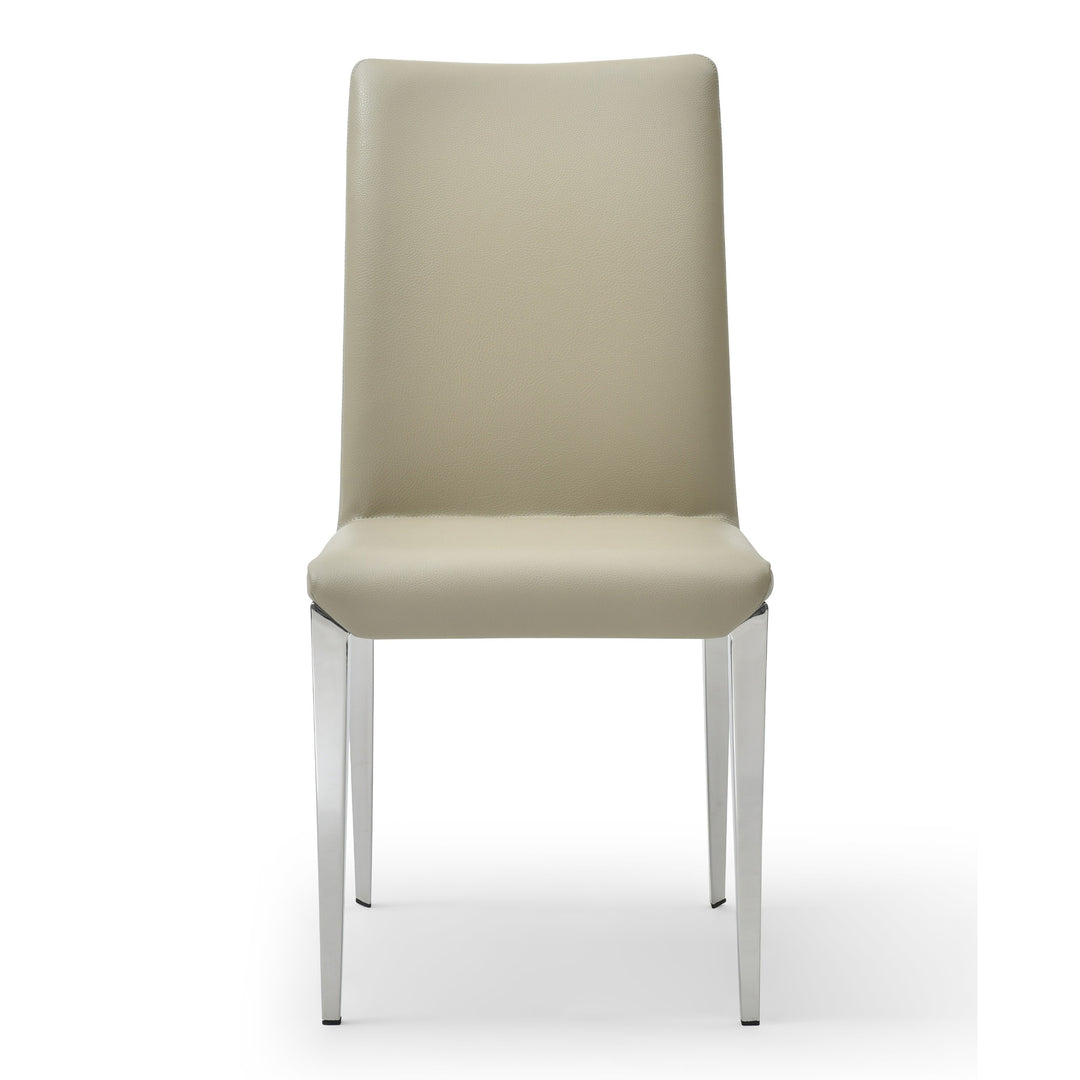 Taryn - Modern Light Grey + Stainless Steel Dining Chair (Set of 2)