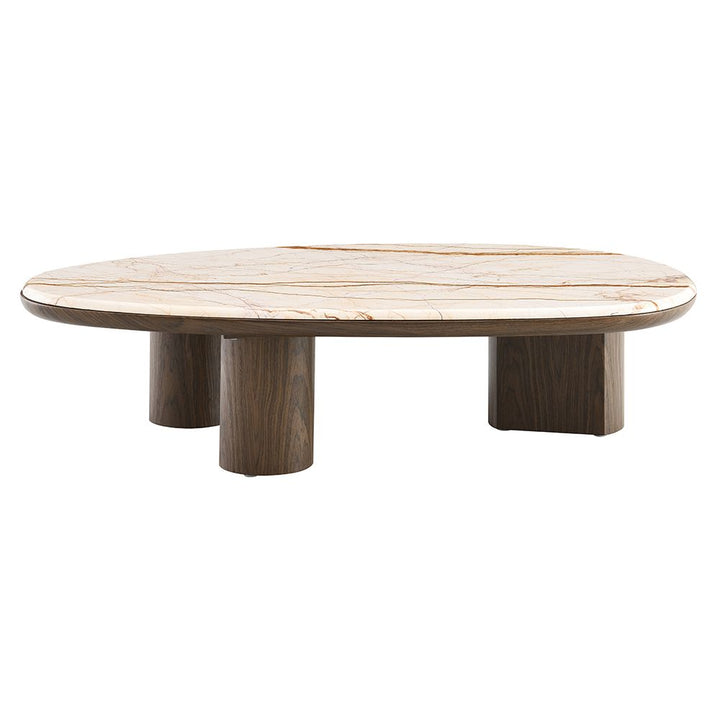 Haidar Coffee Table with Natural Marble