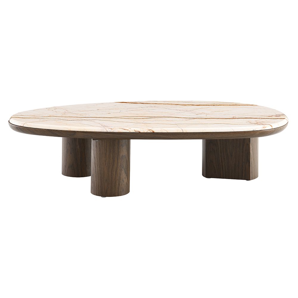 Haidar Coffee Table with Natural Marble