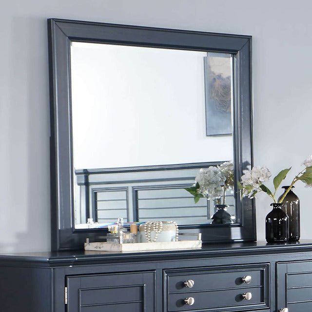 Manzanillo Mirror