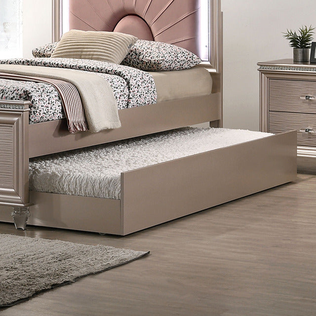 Allie Trundle, Rose Gold
