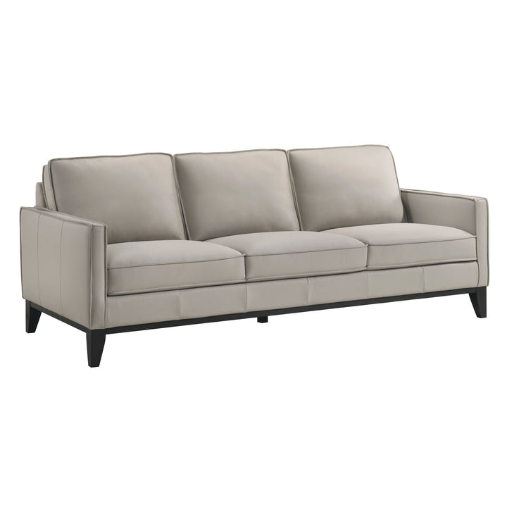 Aaron Leather Sofa-Mist Gray