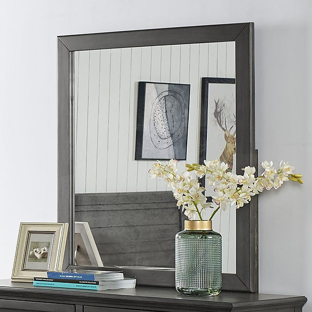 Brogan Mirror, Gray