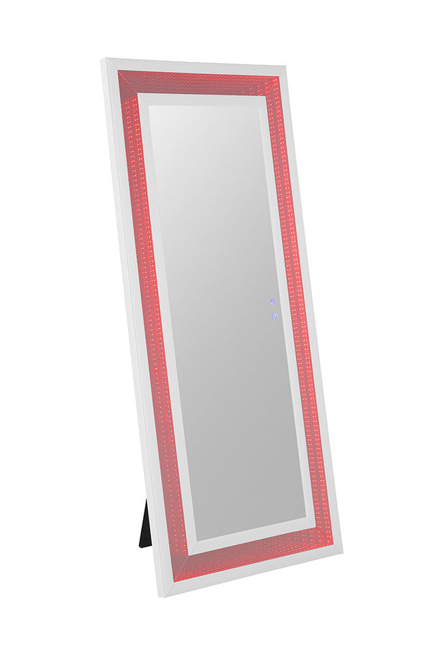 Solinus Floor Mirror - view 8