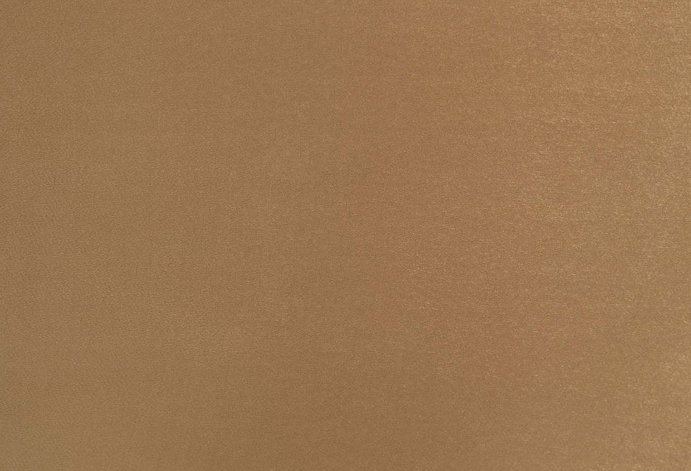 Bernadette Side Chair (Set of 2)