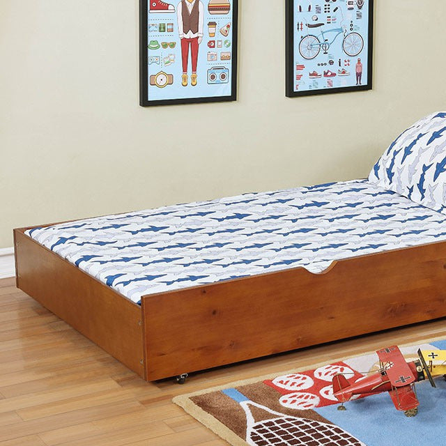 Grano Trundle, Oak