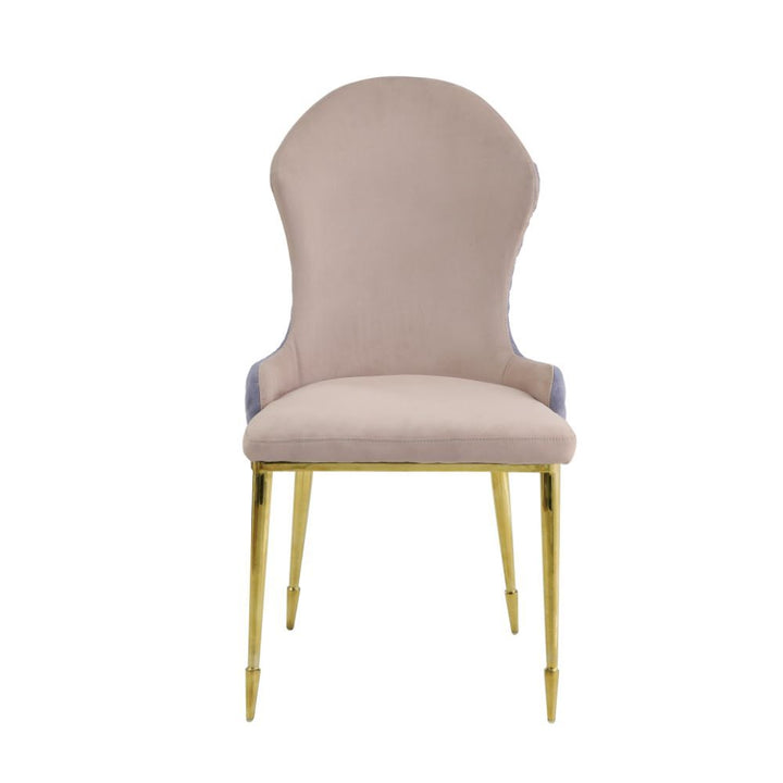 Caolan Side Chair (Set-2) – view 2