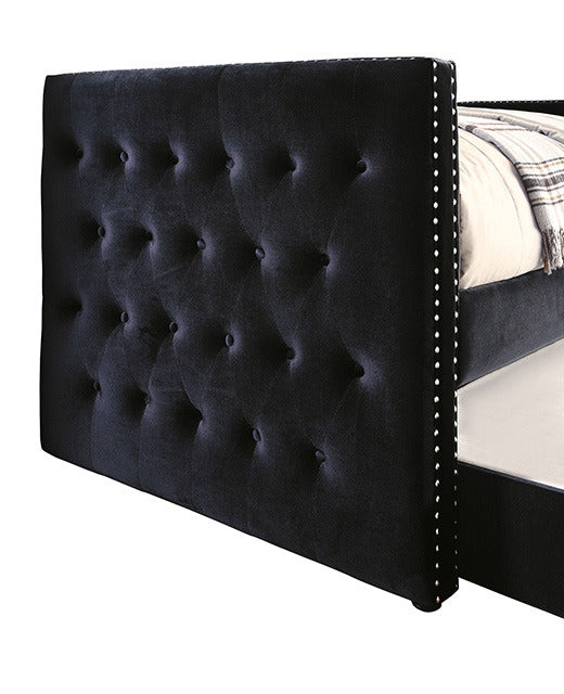 Susanna Daybed W/ Trundle, Black - view 4