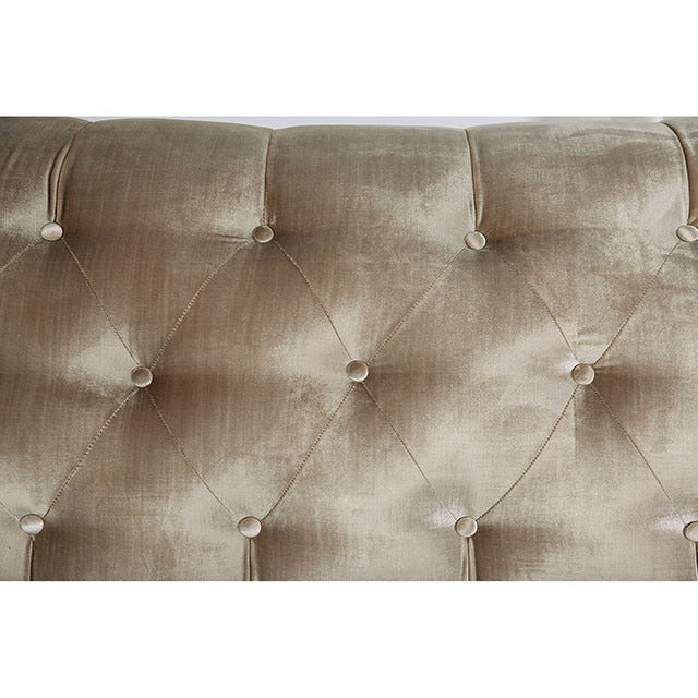 Elicia Love Seat, Champagne/Turquoise - view 9