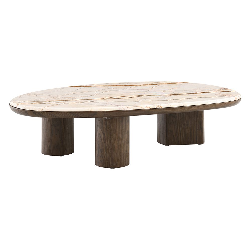 Haidar Coffee Table with Natural Marble