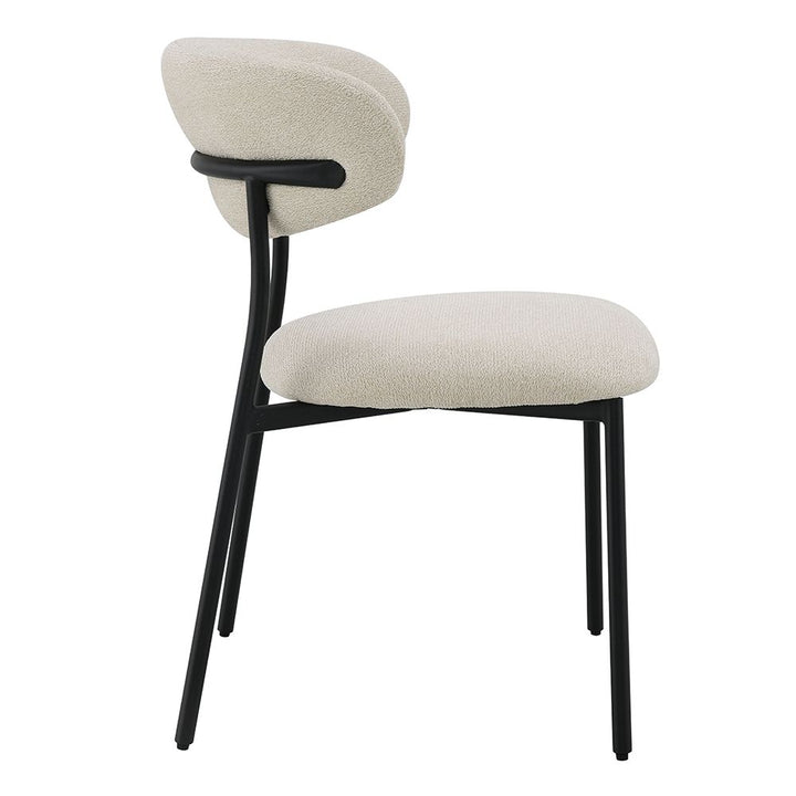 Jirina Side Chair (Set-2) – view 4