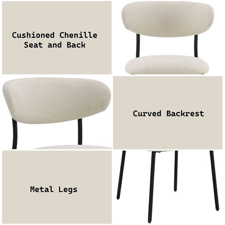 Jirina Side Chair (Set-2) – features callout