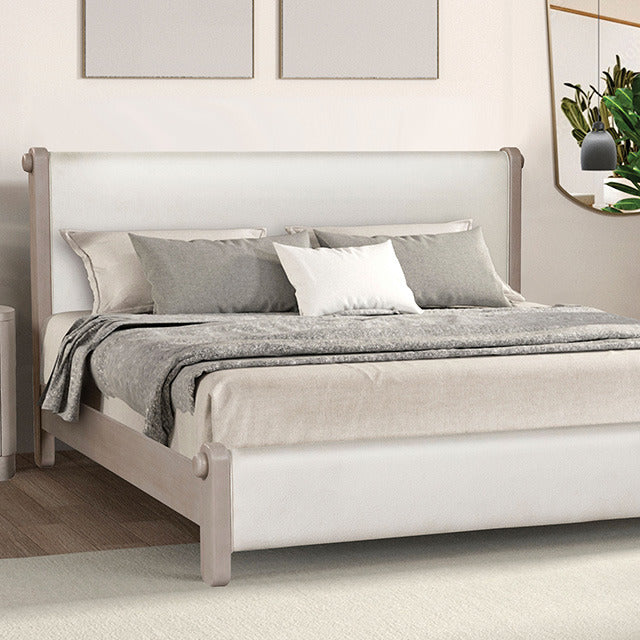 Pocatello Bed