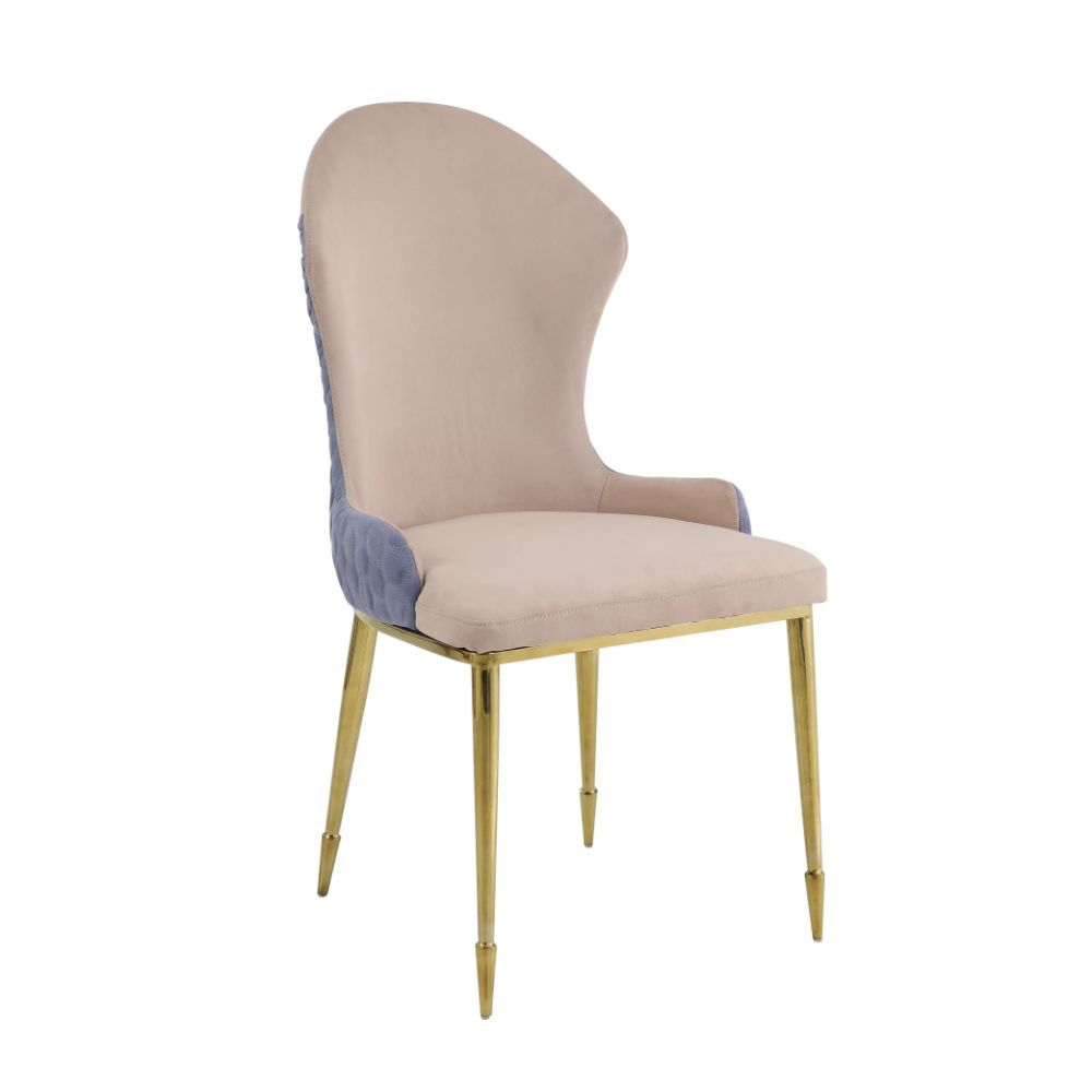 Caolan Side Chair (Set of 2)