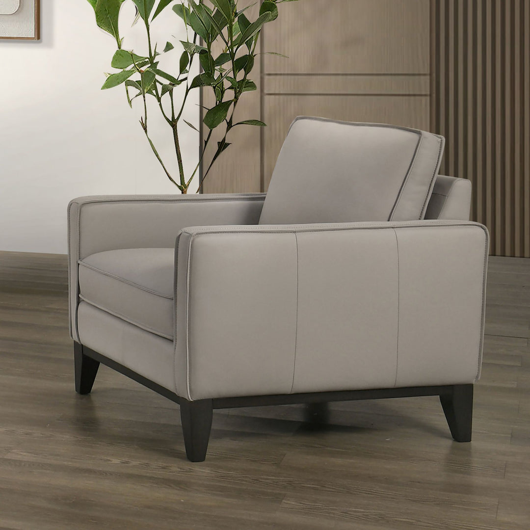 Aaron Leather Chair-Mist Gray