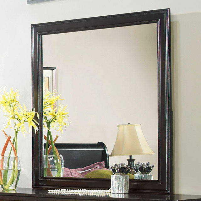 Laurelle Mirror, Espresso