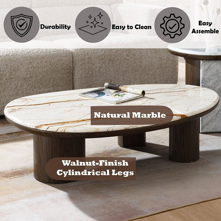 Haidar Coffee Table with Natural Marble