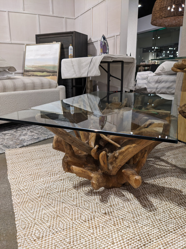 Modus Furniture Jvhs21 One Solid Teak Root Glass Top Coffee Table