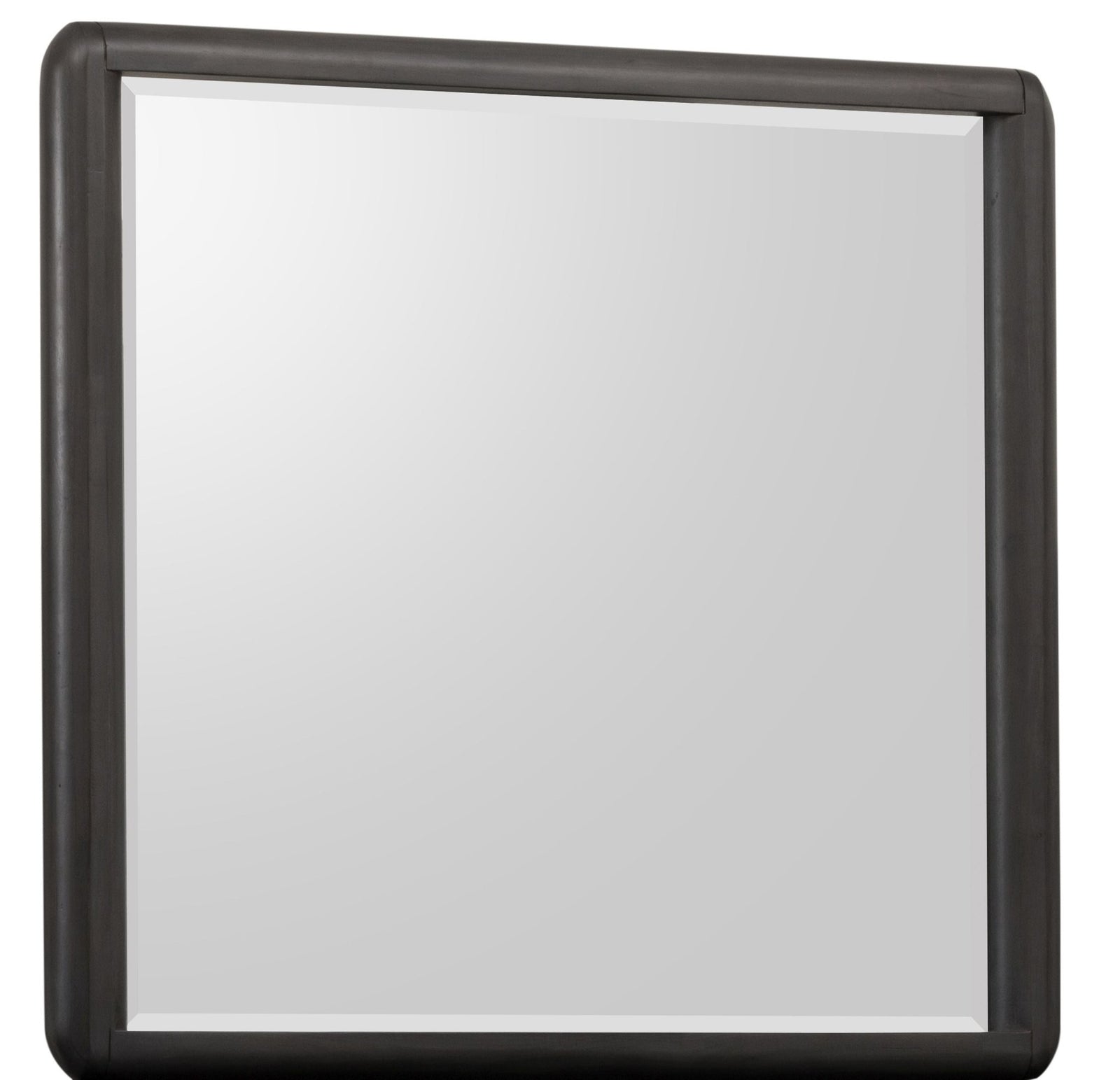 Xolani Beveled Glass Wall or Dresser Mirror in Jaguar Mirror modern furniture Contempo Furniture